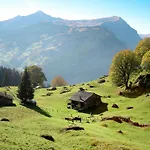 An Der Egg By Interhome * Grindelwald